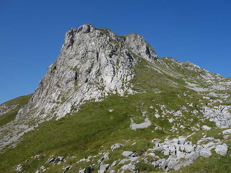 Griesstein